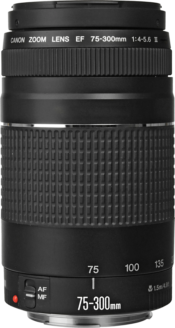 Canon EF 75-300mm f/4.0-5.6