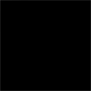 Bresser br-9 achtergronddoek 3x4m zwart 2 689015