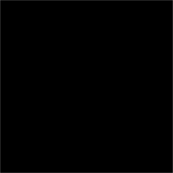 Bresser BR-9 Achtergronddoek 3x6m Zwart