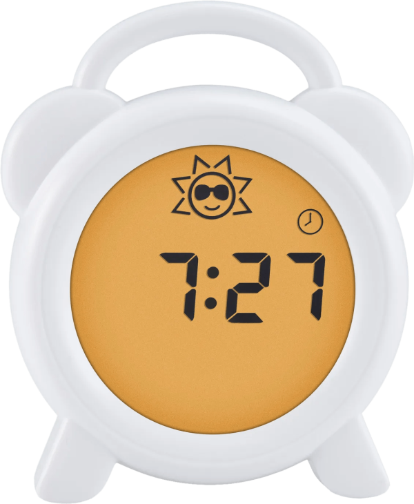 Alecto BC-100