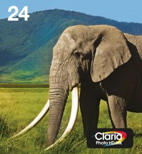 Epson 24 cartridges combo pack 2 841220