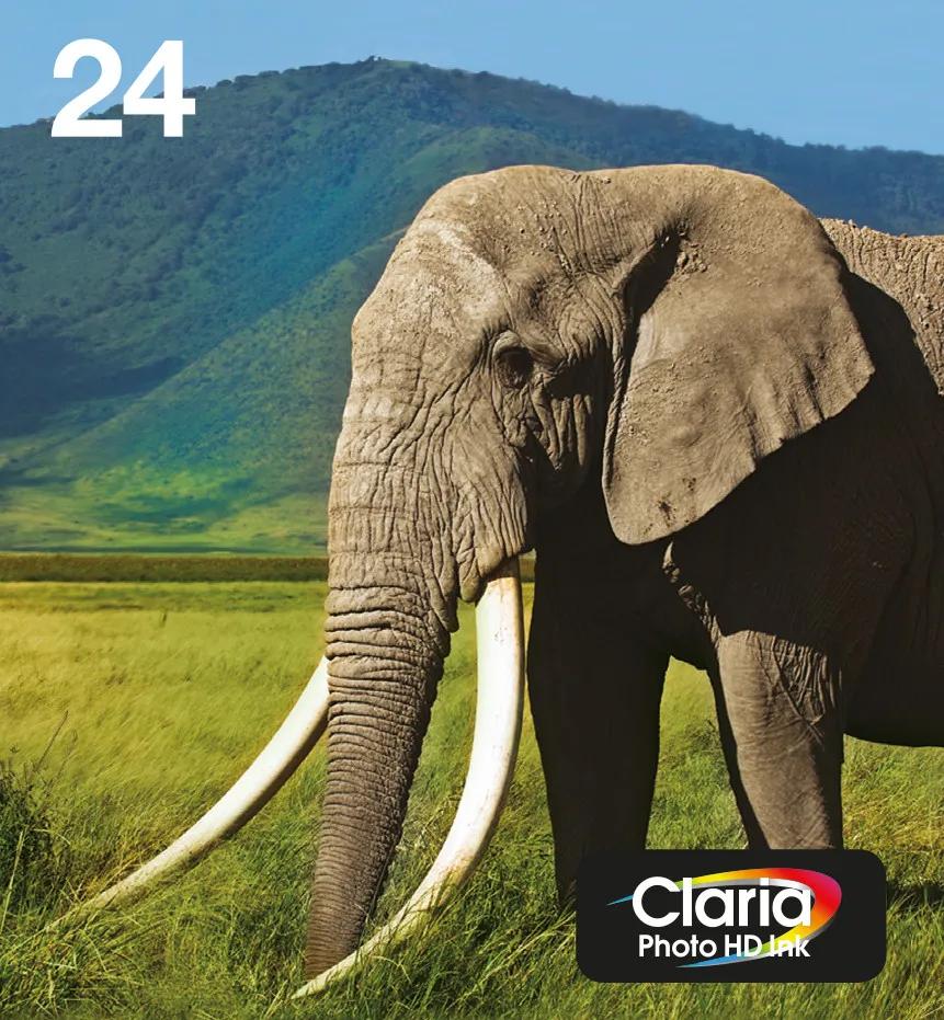 Epson 24 cartridges combo pack 1 Epson 24 cartridges combo pack