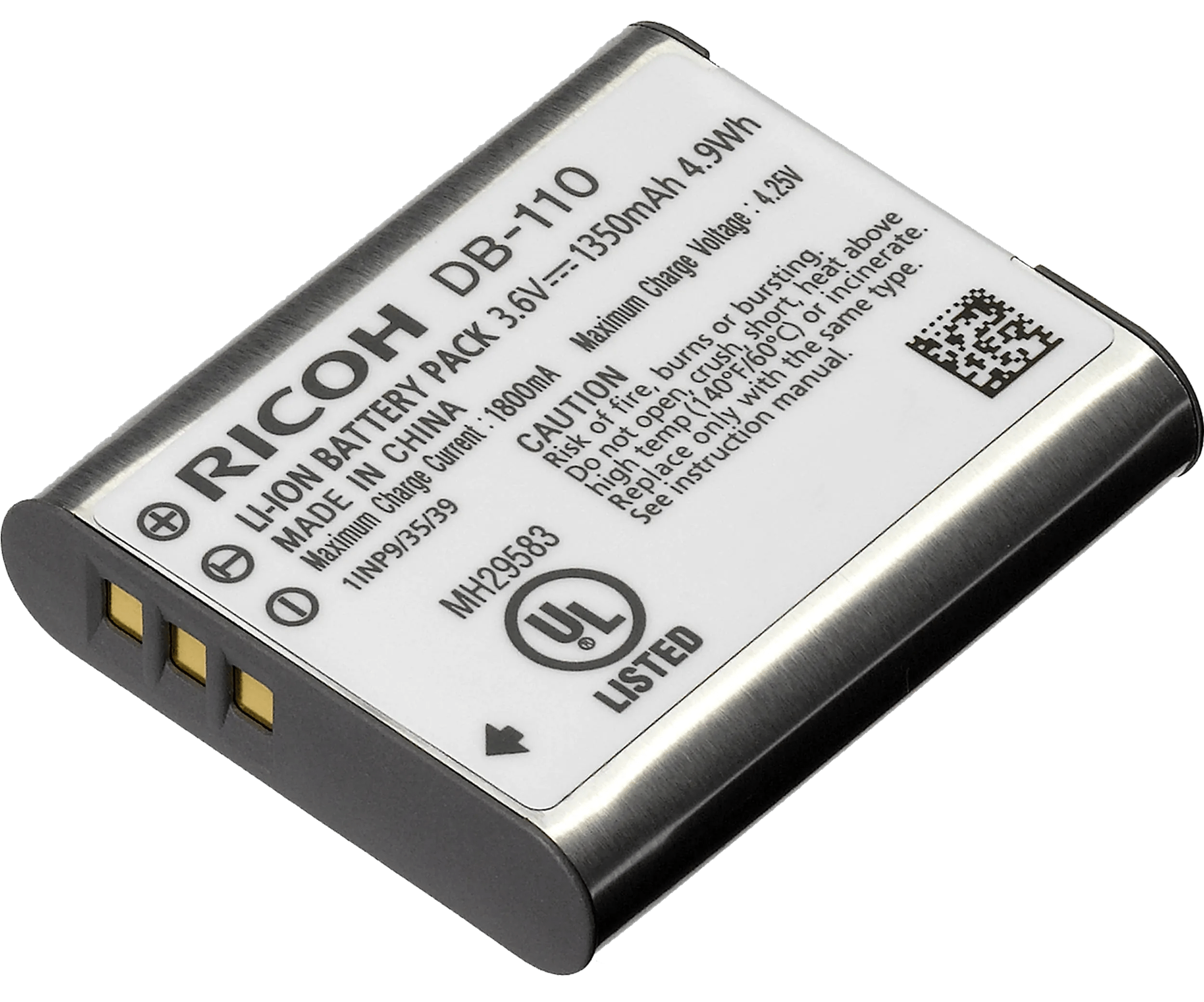 Ricoh db-110 1 Ricoh db-110
