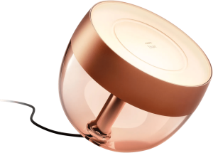 Philips hue iris white and color special edition koper 2 898085