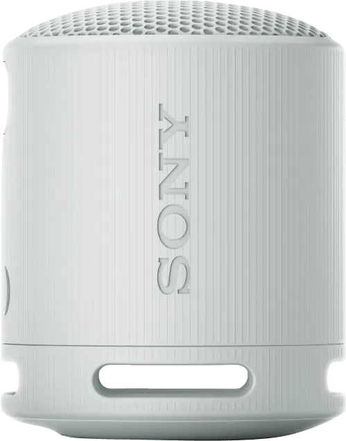 Sony SRS-XB100 Grijs