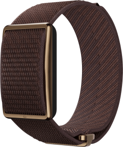 Polar loop bruin 2 967268