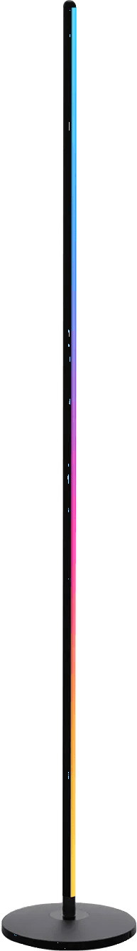 Govee Floor Lamp Basic
