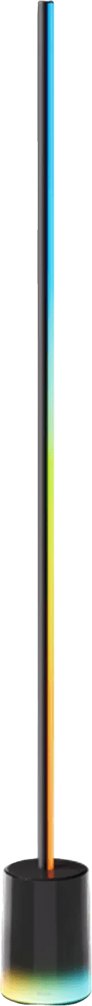 Govee Floor Lamp 2