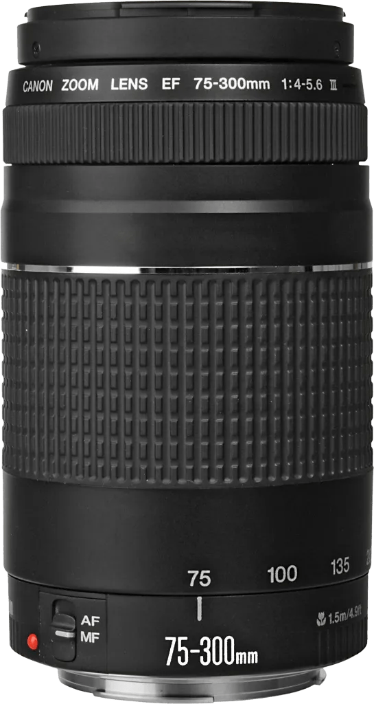 Canon EF 75-300mm f/4.0-5.6