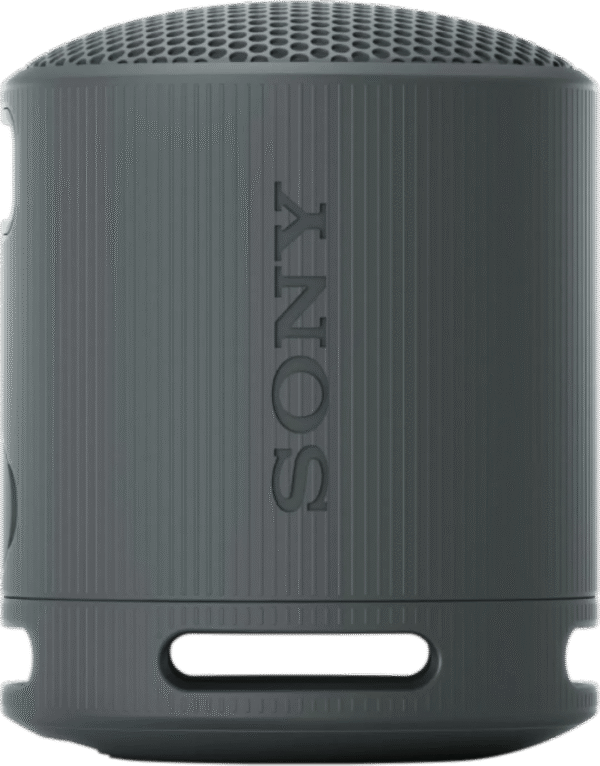 Sony SRS-XB100 Zwart