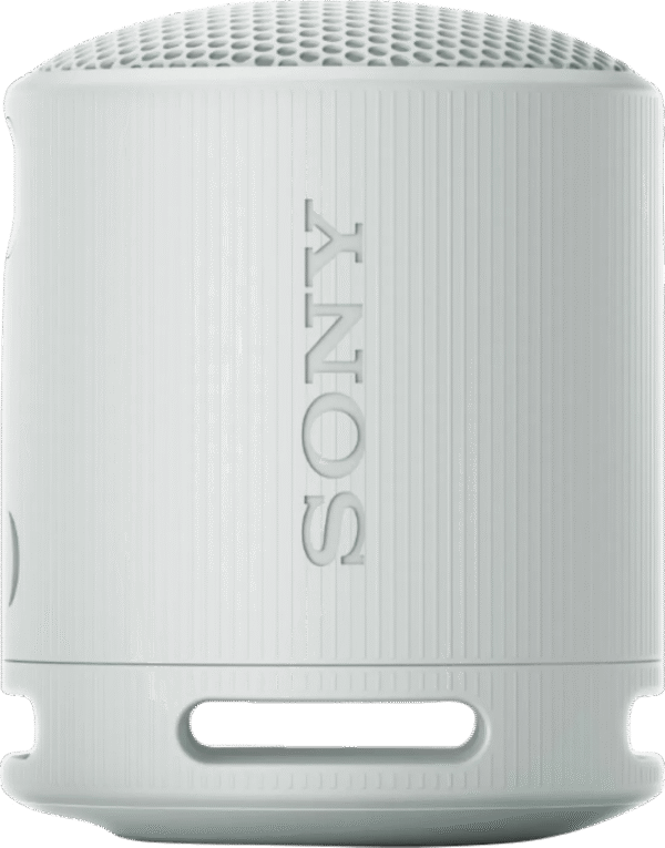 Sony SRS-XB100 Grijs