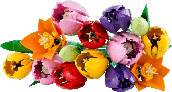 LEGO Botanicals Tulpenboeket 11501